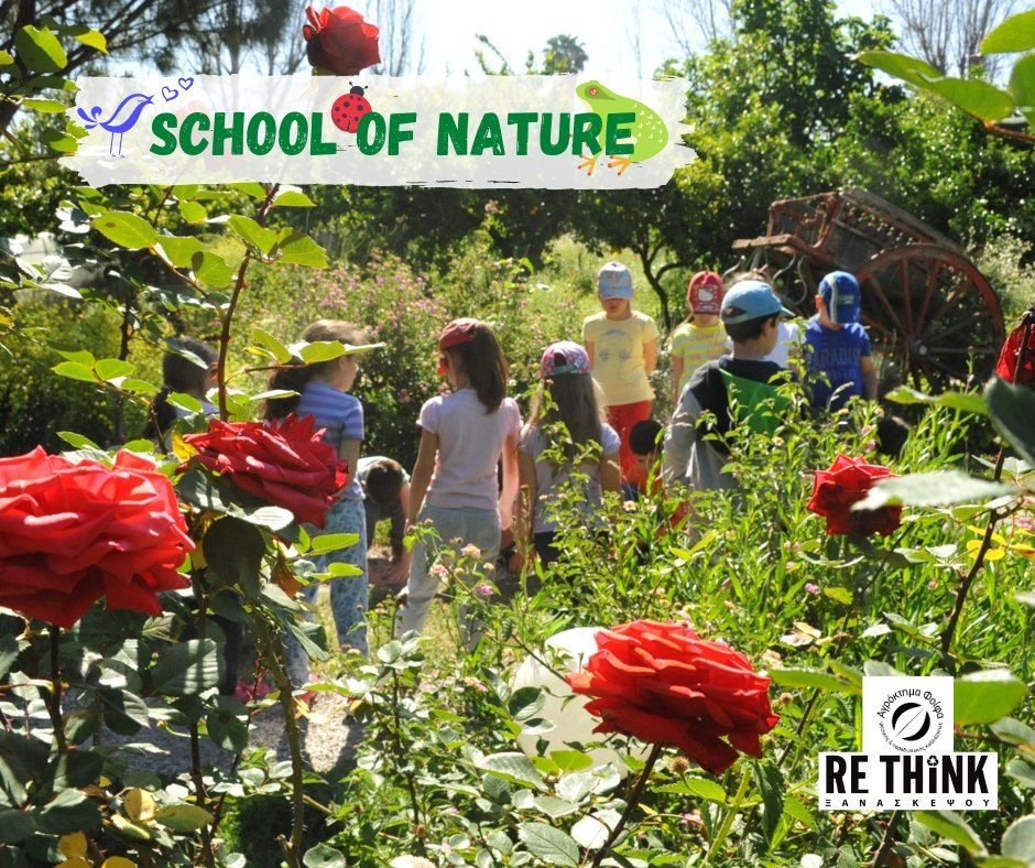 RETHINK KIPOI AEIFORIAS 2