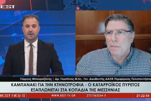 Still1119 00004 1 636x424 1