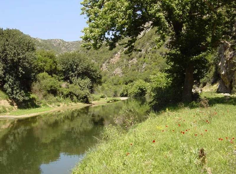 Ένα «διάσημο» και ένα «σημαντικό» Ποτάμι Ae4daf7a49b0dc28900baa7a296cfcb7 L