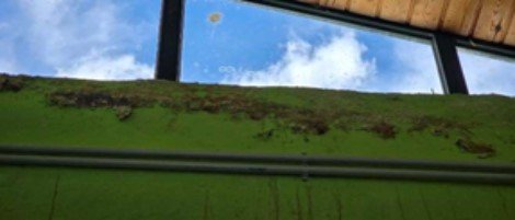 %ce%91 %ce%a0%ce%91%ce%99%ce%94%ce%99%ce%9a%ce%9f%ce%a3 %ce%a3%ce%a4%ce%91%ce%98%ce%9c%ce%9f%ce%a3 %ce%9a%ce%91%ce%9b%ce%91%ce%9c%ce%91%ce%a4%ce%91%ce%a3