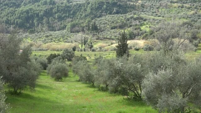 Εκποιεί τις «ιερές εκτάσεις» η Μονή Αγ. Θεοδώρων – Συνάντηση Δημάρχου Πύργου στο μοναστήρι ektaseis 640x361