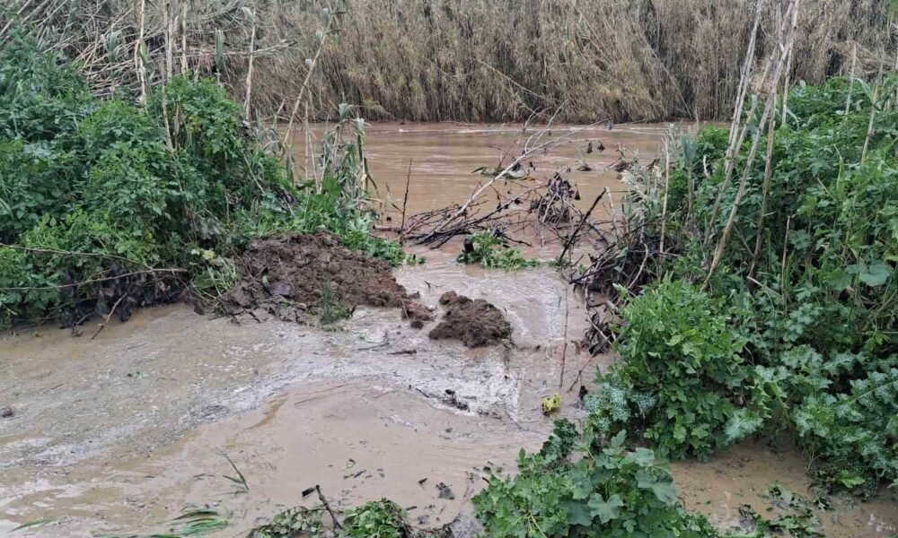 SPERXOGEIA ARIS 1000x600 1