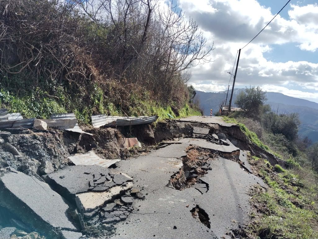 alagonia2026 1024x771