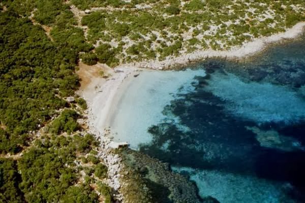 Τομέας Ενέργειας και Περιβάλλοντος ΕΛ.Α.Σ. για Σαπιέντζα Μεσσηνίας: «Η άγρια ζωή δεν είναι κυνηγετικό τρόπαιο» sapientza paralia